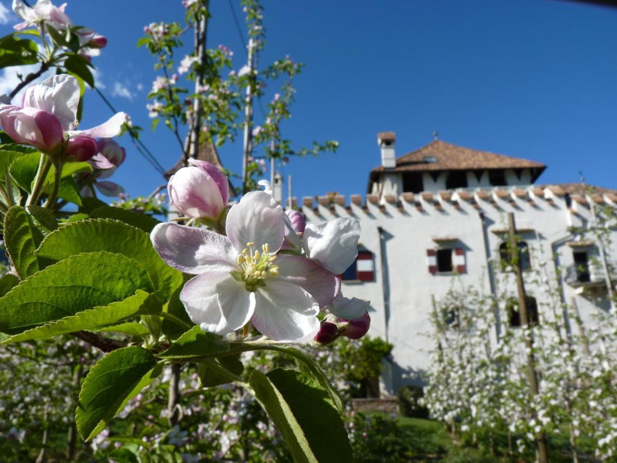Apartments Schloss Paschbach Appiano Sulla Strada Del Vino Ngoại thất bức ảnh