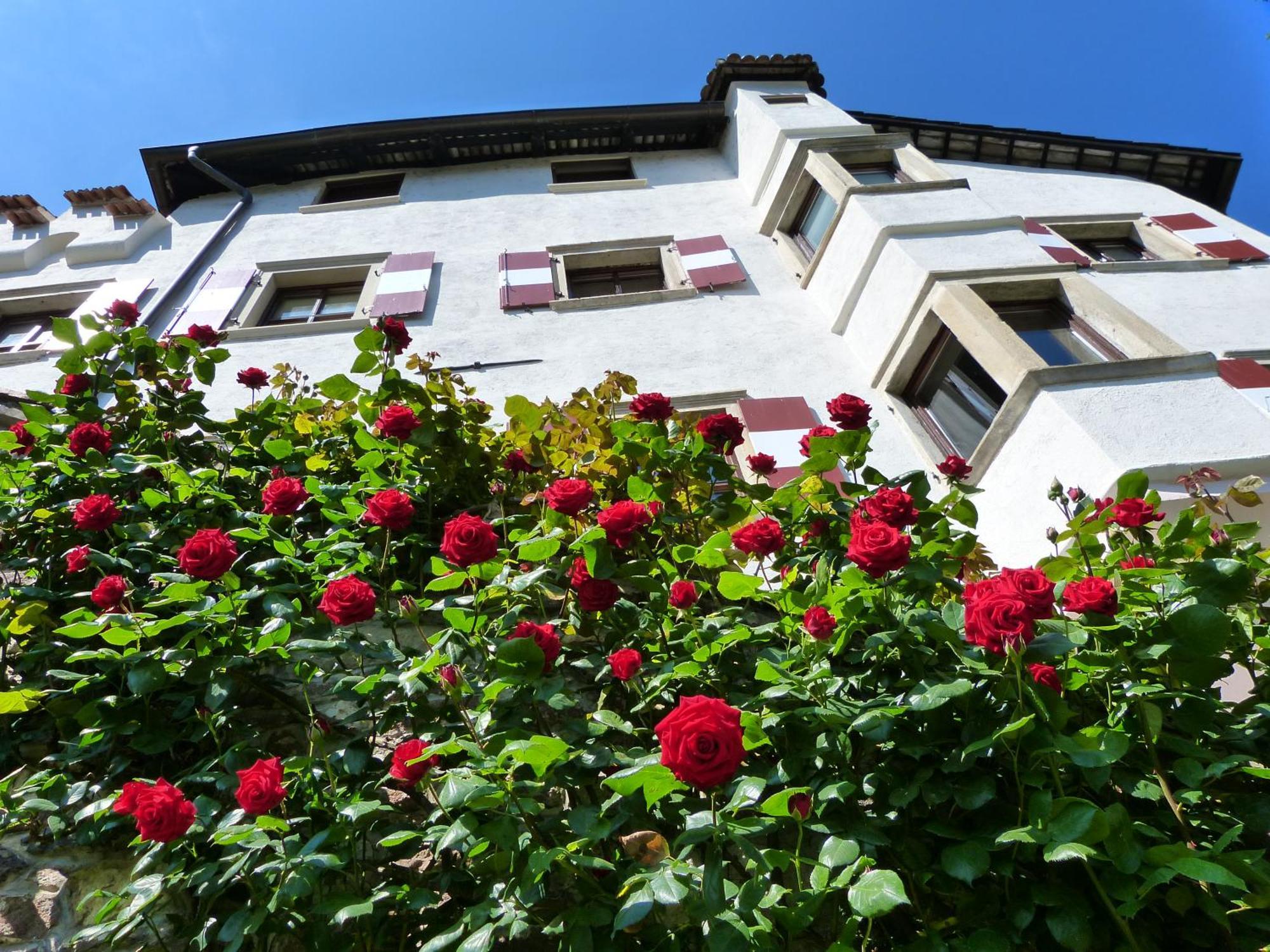 Apartments Schloss Paschbach Appiano Sulla Strada Del Vino Ngoại thất bức ảnh