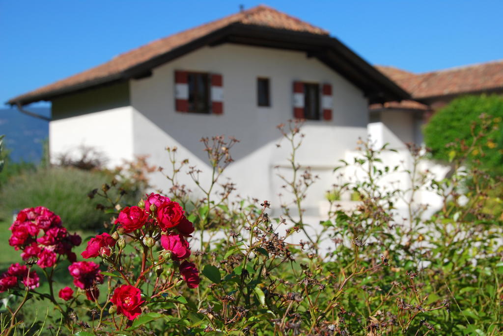Apartments Schloss Paschbach Appiano Sulla Strada Del Vino Phòng bức ảnh