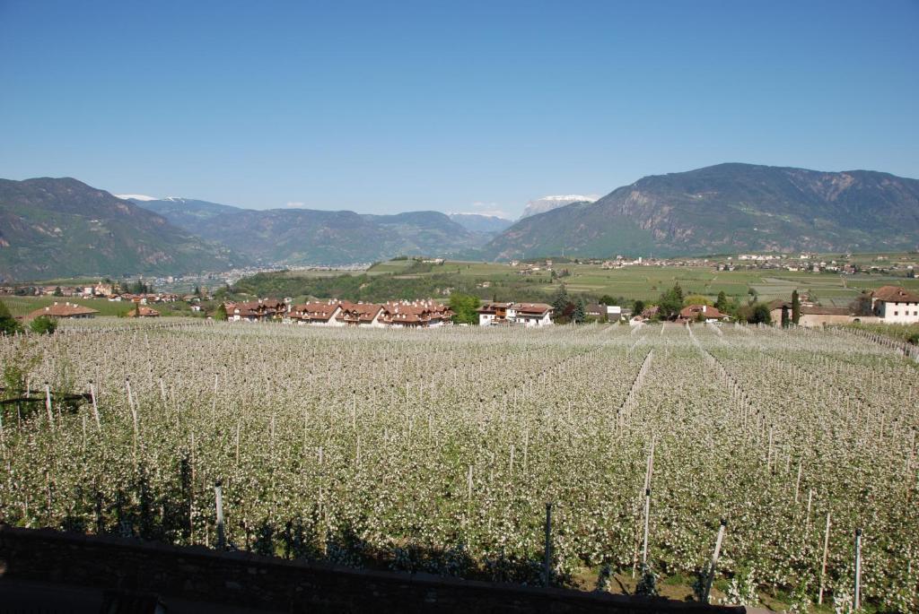 Apartments Schloss Paschbach Appiano Sulla Strada Del Vino Ngoại thất bức ảnh
