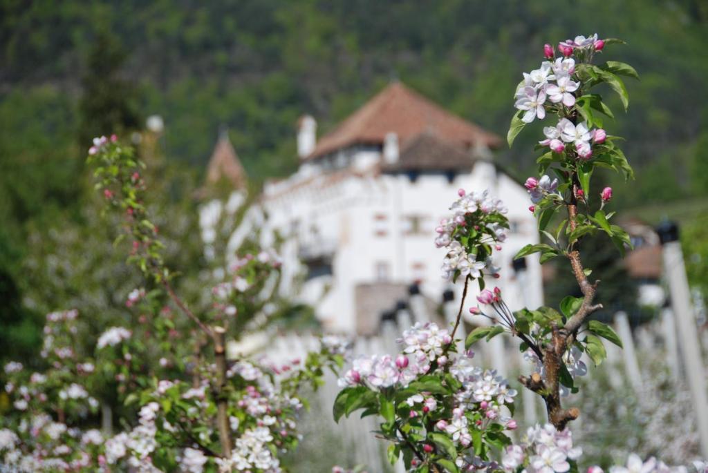 Apartments Schloss Paschbach Appiano Sulla Strada Del Vino Ngoại thất bức ảnh