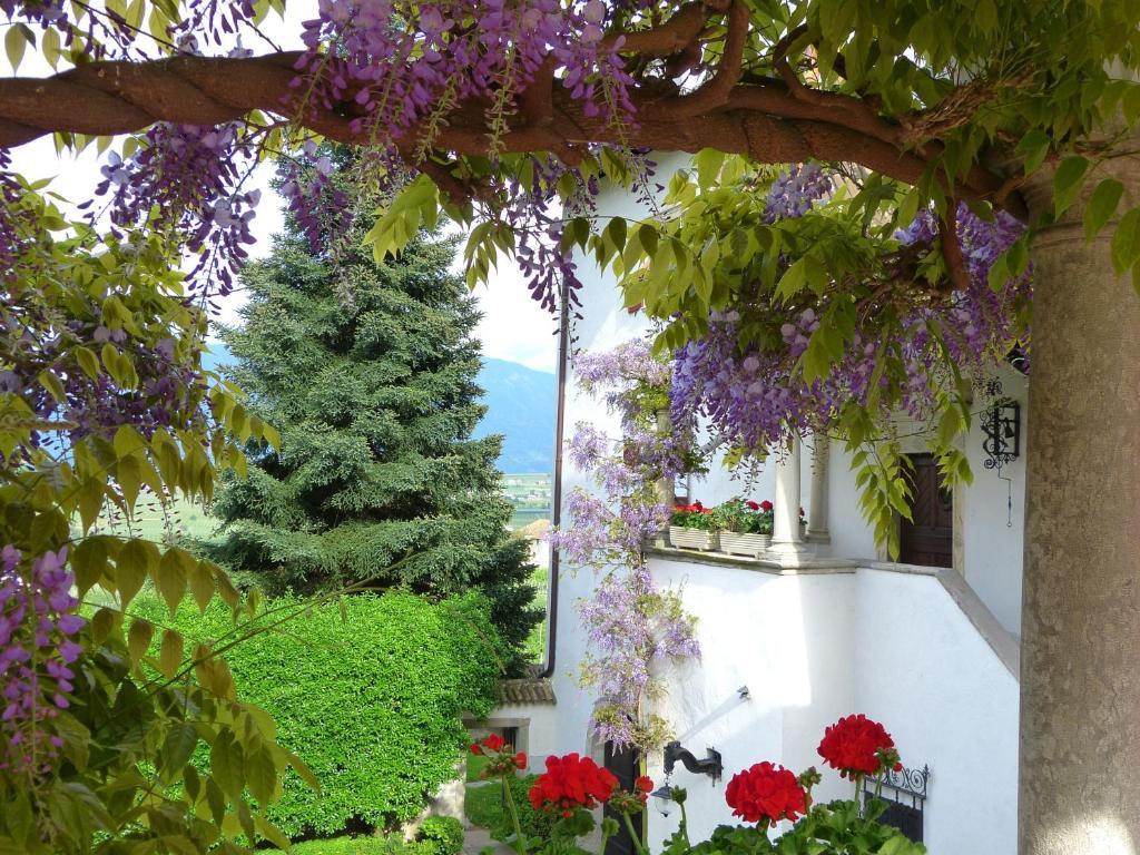 Apartments Schloss Paschbach Appiano Sulla Strada Del Vino Ngoại thất bức ảnh